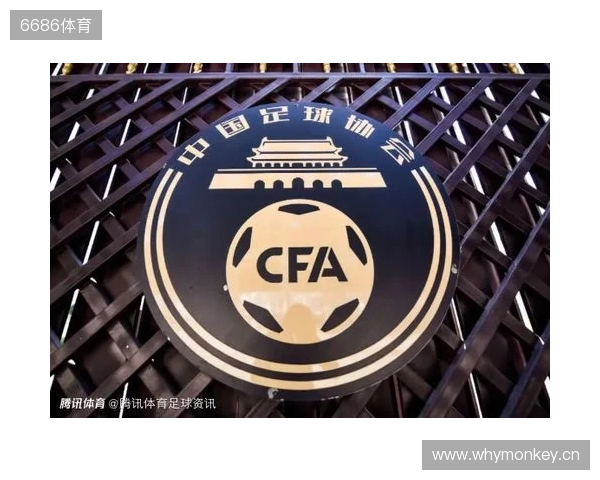 湖北法院:原泰达球员白某峰收华夏35万踢假球,判刑1年罚款10万